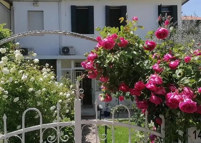 Casa Bianca * 梅斯特雷